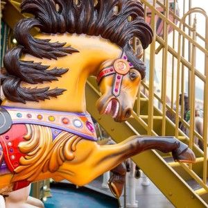 Meet your Posher, Terry